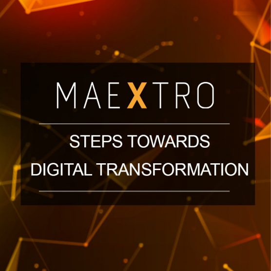 DiTTo - Maextro Analyse Duplicate Data