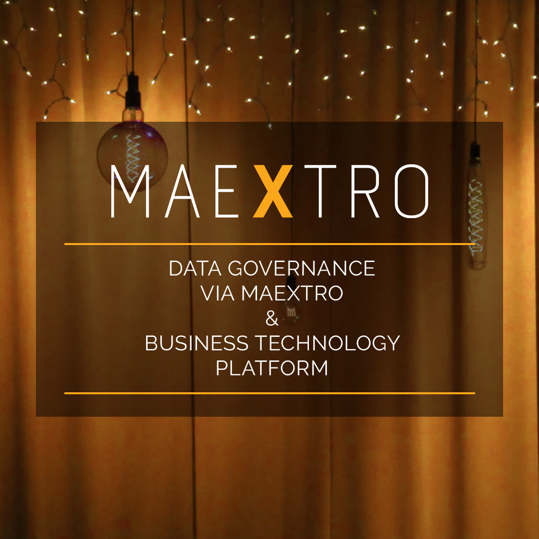 Data Governance via Maextro & Business Technology Platform