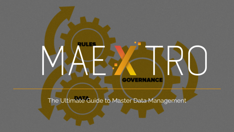 master data management guide